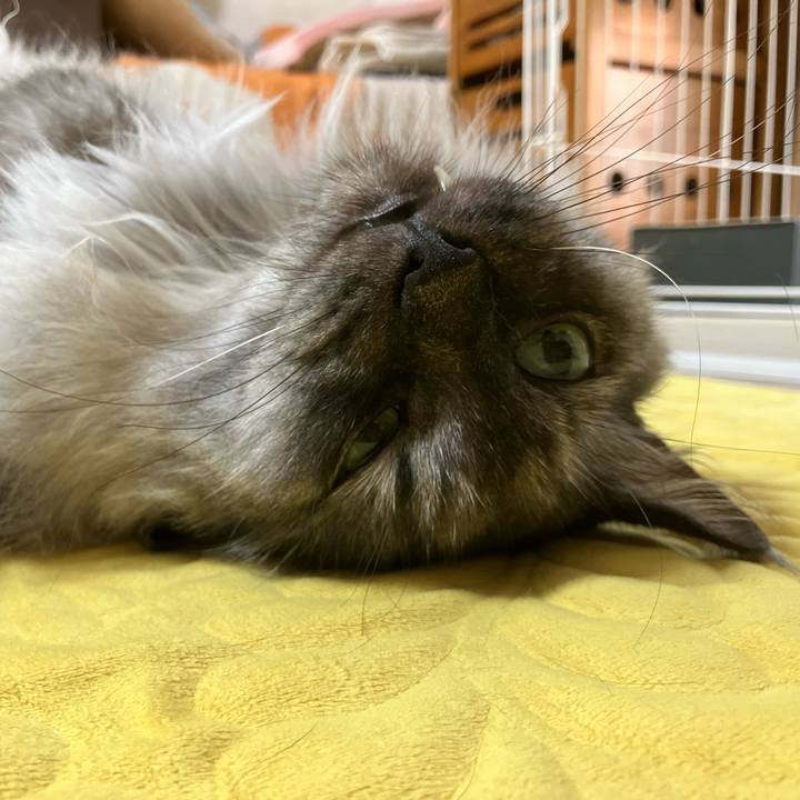 3037d40a 303f 4f04 9699 bb01e1c88ca6 1758759229332