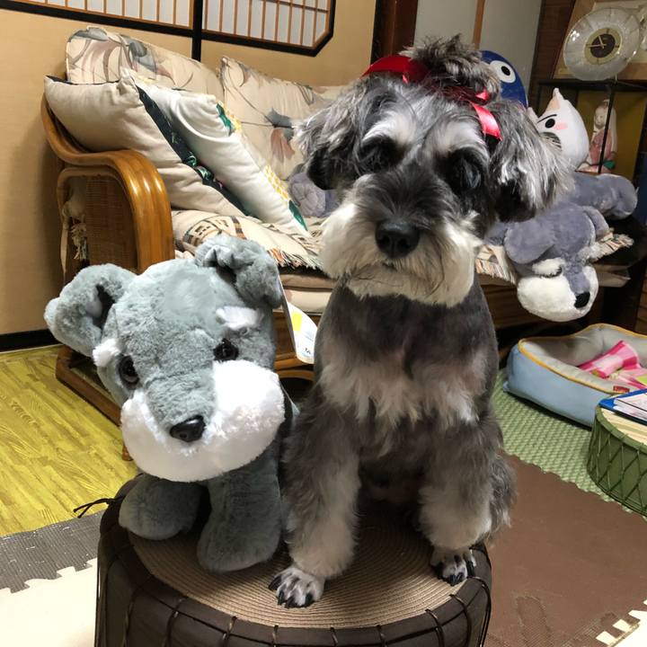 303818ec 0ff8 4792 a5f6 6581f5bb1f19 1538037264960