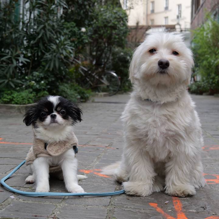 30383607 e660 4f2d 82ea 12c1bd92a2f7 1772116742819