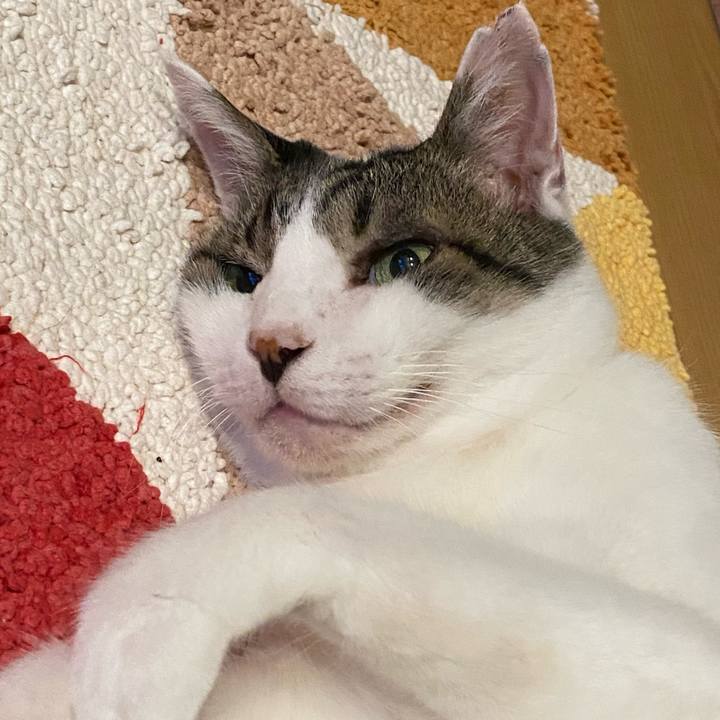 3038443a 2b9f 4706 8233 6e4b8ecaecd1 1662039949289