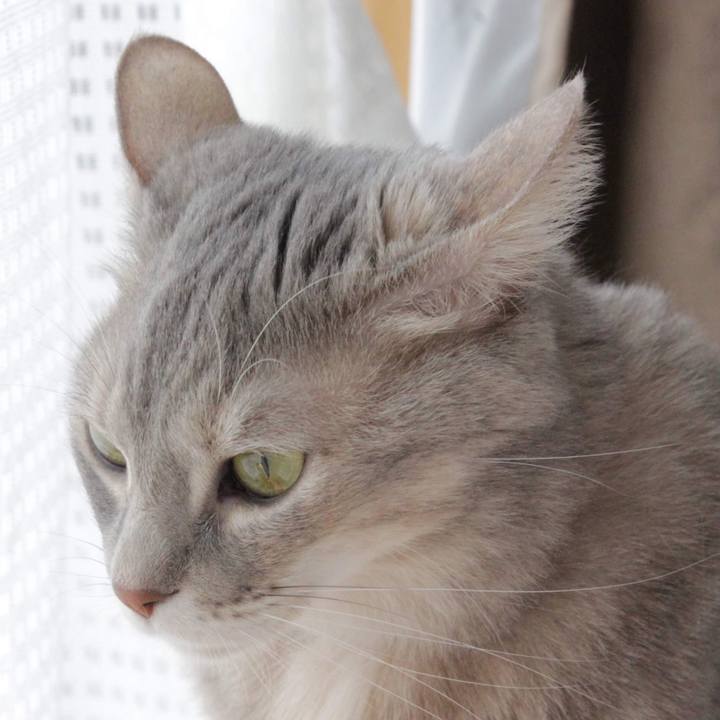 303849cd c12f 4f59 833f 214d092115e2 1576394322891