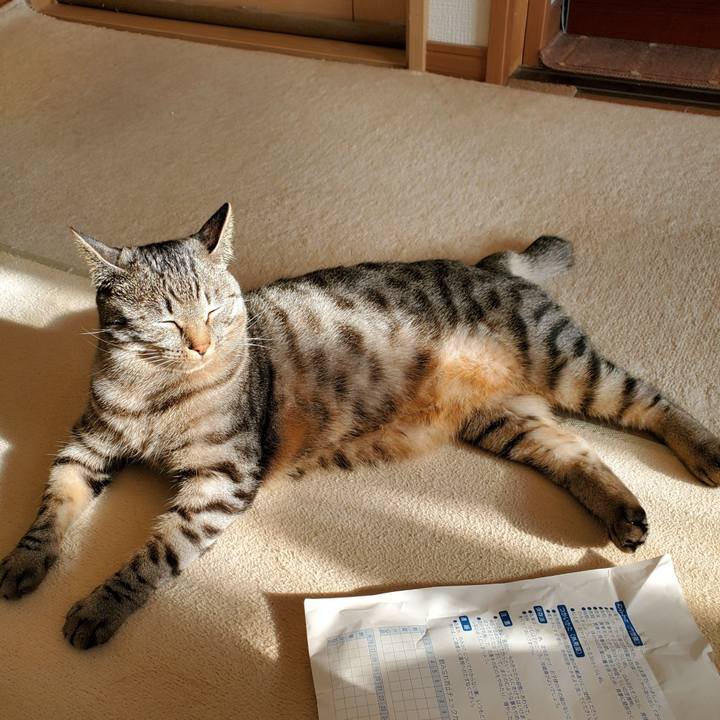 303863ec 5967 4ffb a7b8 a3e745a02b8c 1702086809899