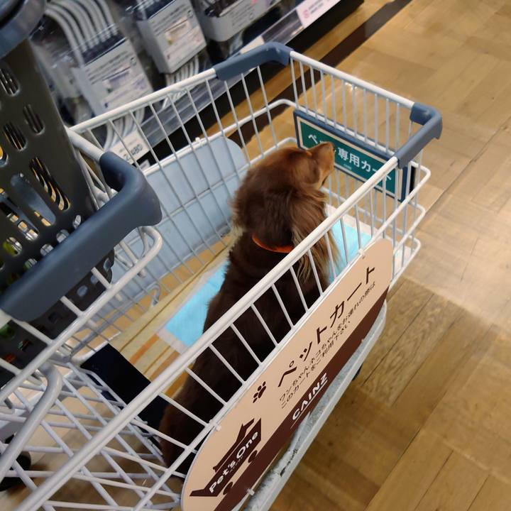 30387dd6 3ecd 467b 8219 091b13932cc9 1631512149952