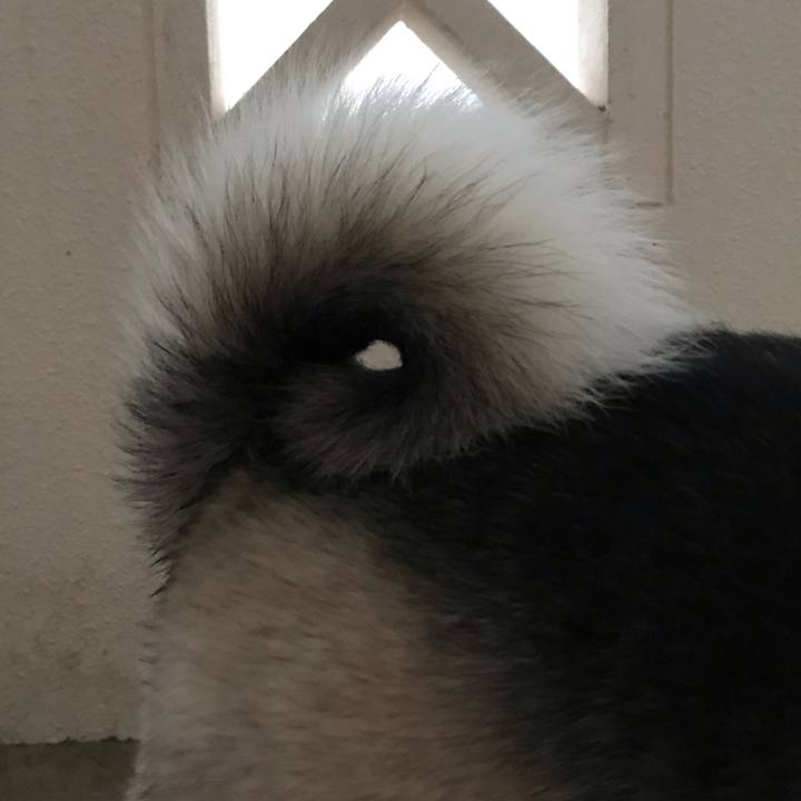 303889b6 265f 43f4 935a dfa3abdd70e9 1572662055367