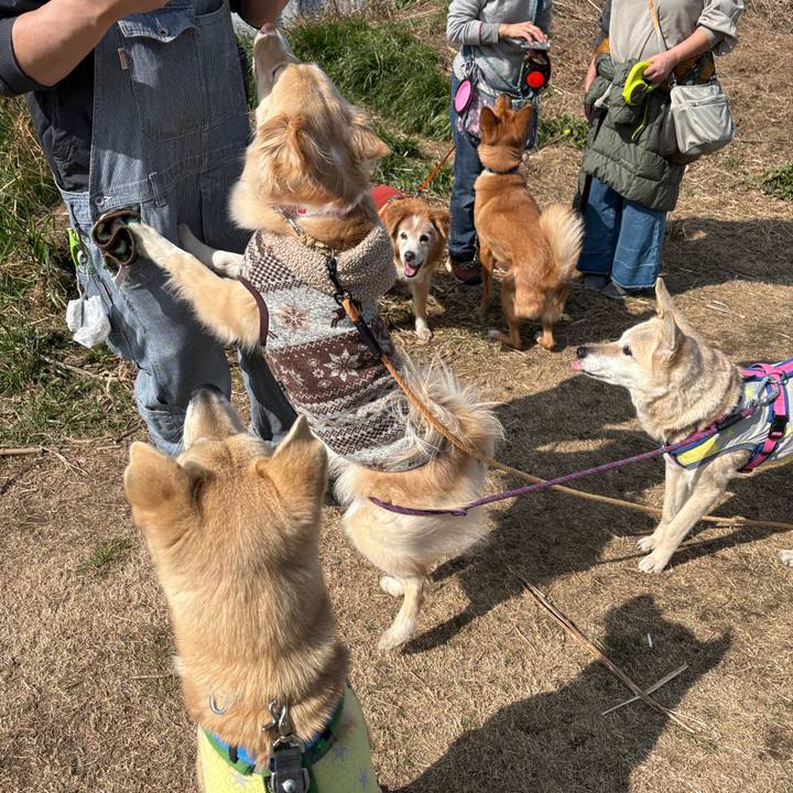 3038978a d717 46e8 add5 54d3fb189b4f 1771064829743