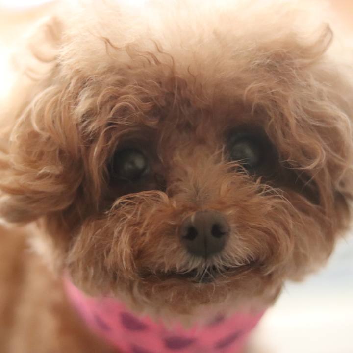 30389a54 c890 4301 a9a3 5ed506ea4f85 1536492176794