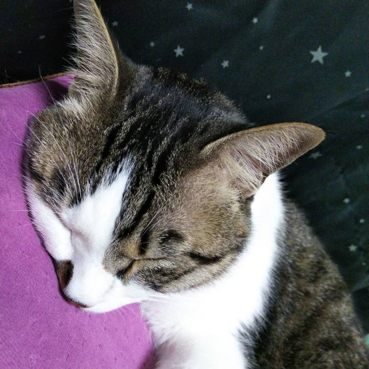 30389faf 5487 49b3 b9c1 c828bdb8853a 1649501401472