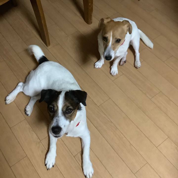 3038c617 90a6 480d 85a9 d153e76ed640 1565727916797