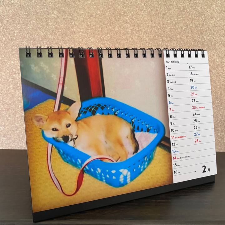 3038ccff c3dd 49cd be5c aa52e0fe11a7 1614490388514