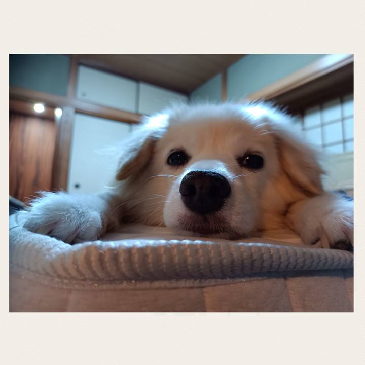 3038f112 c053 4446 b1d2 589db1f1bbe6 1695454325332