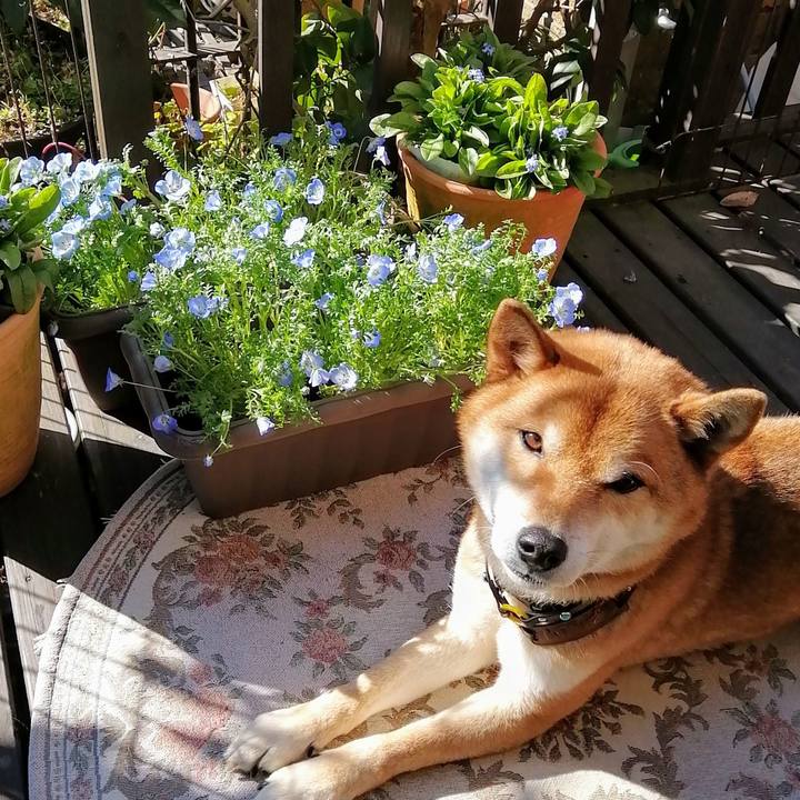 303916ba 0df9 45b1 b2f0 f36cd45a4171 1582807149544