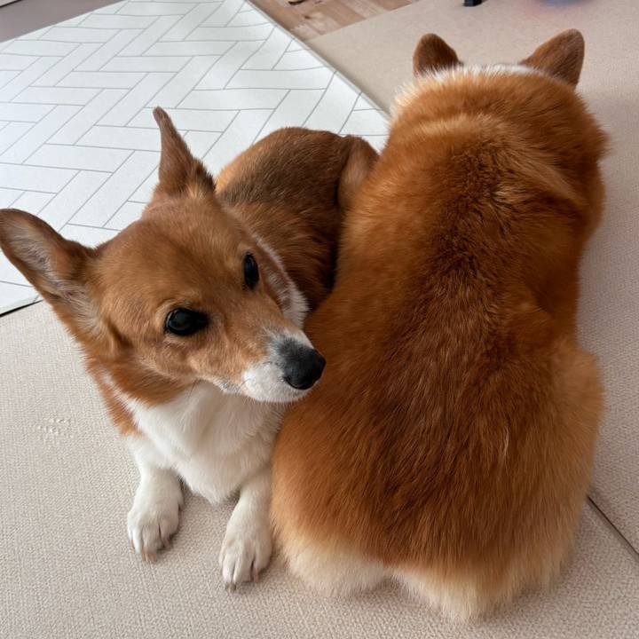 30391e59 0b12 4520 80c7 29dbf2268c5e 1747021225129