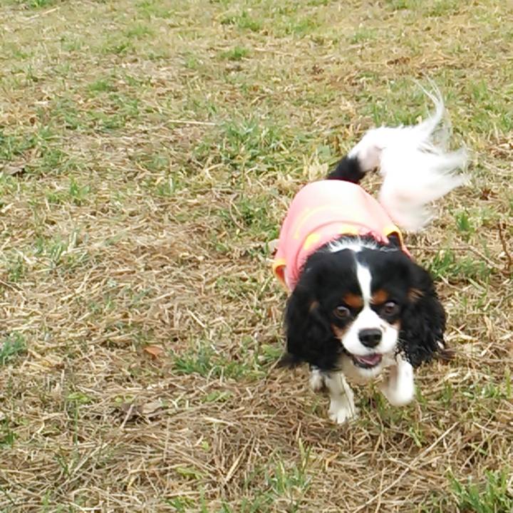 303922e4 4227 40df 9c64 da4208bb8981 1523366962667