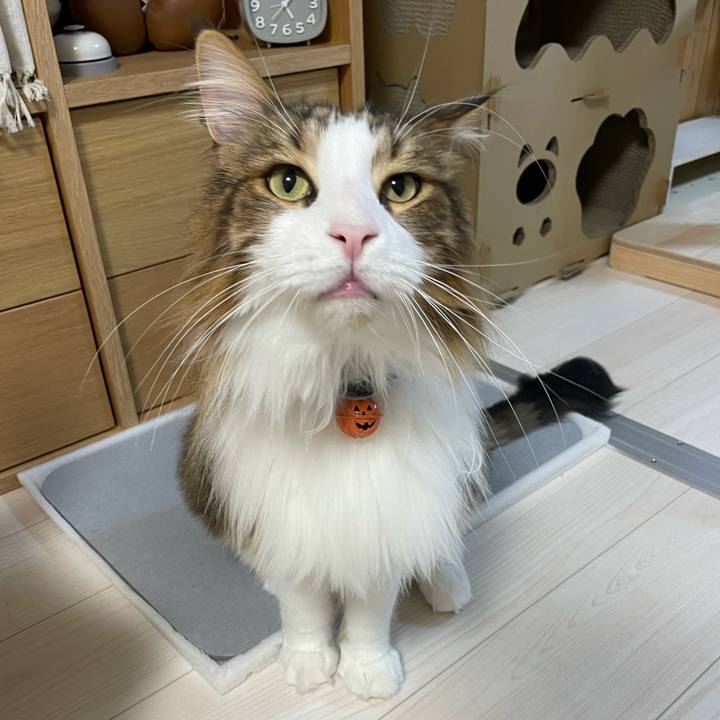 30395367 0ca0 4c0a ba32 23ecefd02046 1696623173851