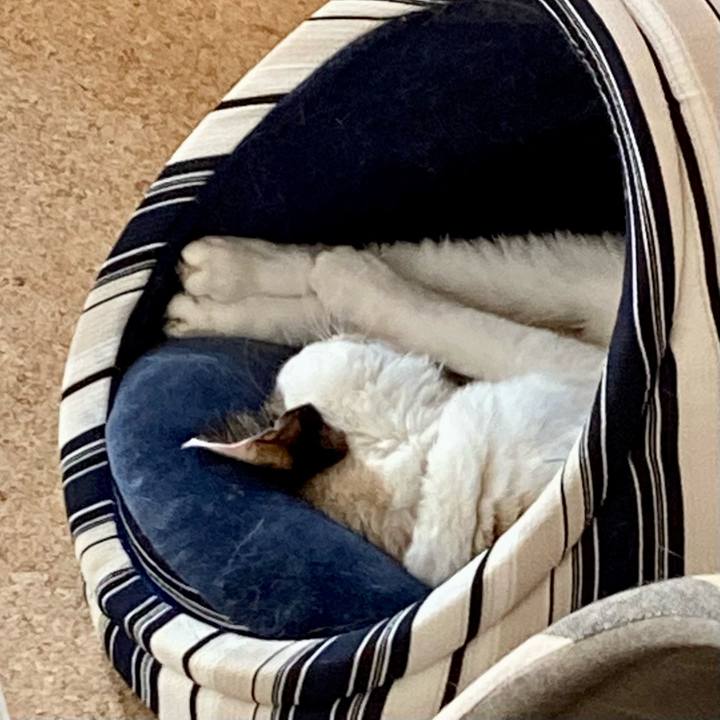 30397bd7 7175 430e 9aa9 1a901c94d638 1677643712154