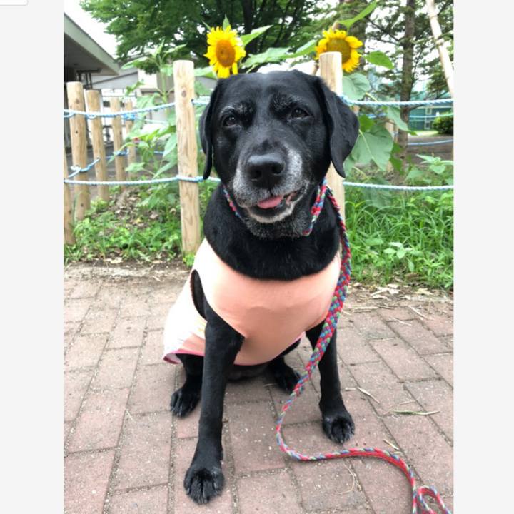 30399958 831d 467c a173 0de05a0fae82 1562661856682