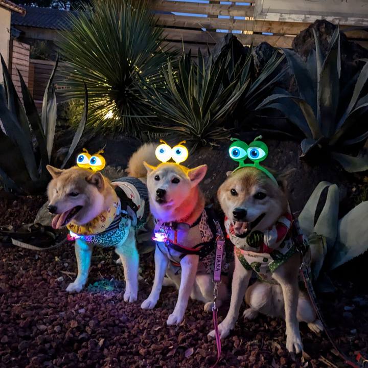 3039a37a 969a 4324 930f 0c425e7cdaca 1724561115232