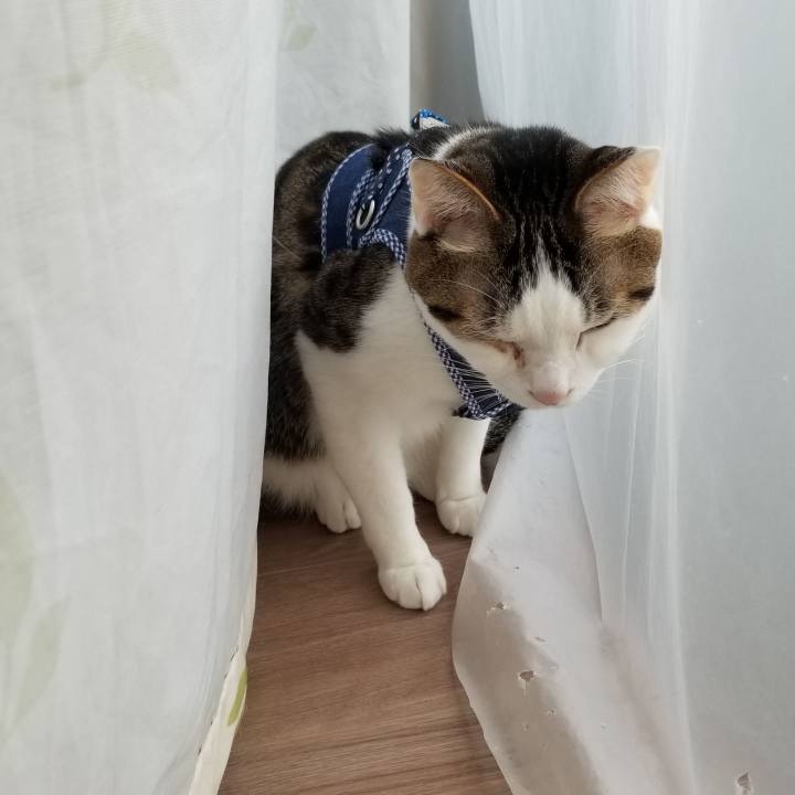 3039d88a dc25 4e73 94b6 3dee8d07fc03 1554508491909