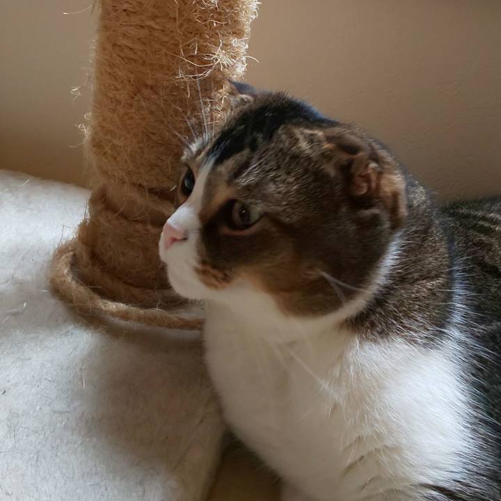 3039db6a 6744 4ece 8bd8 bcc57f410045 1558393628546