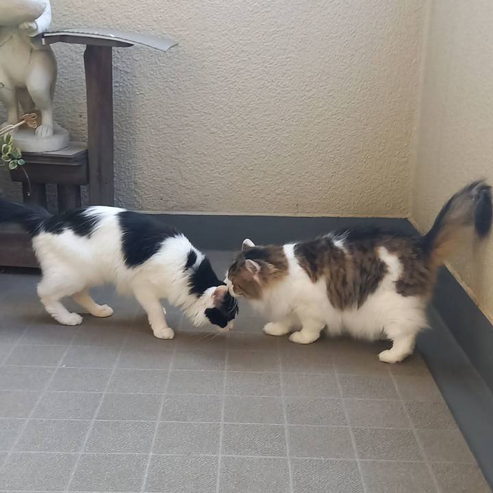 3039f9f4 7af7 4d37 a46c 7c3f7179ad51 1687388050466