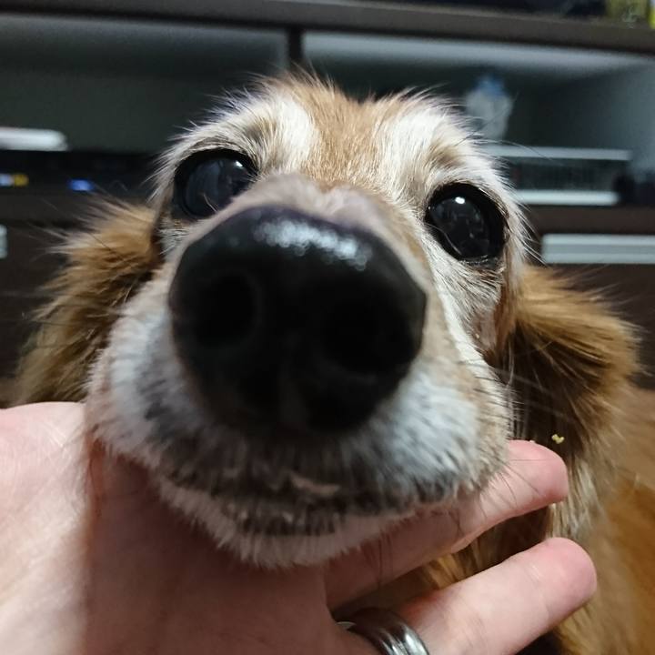 3039fc07 ff4e 418e 9969 22886187b0b2 1510396045177