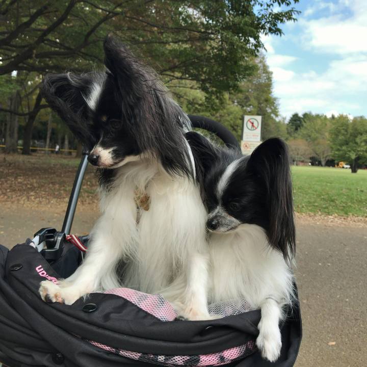 3039fd9b cc02 4327 8072 366c0c0f16b4 1539093839666