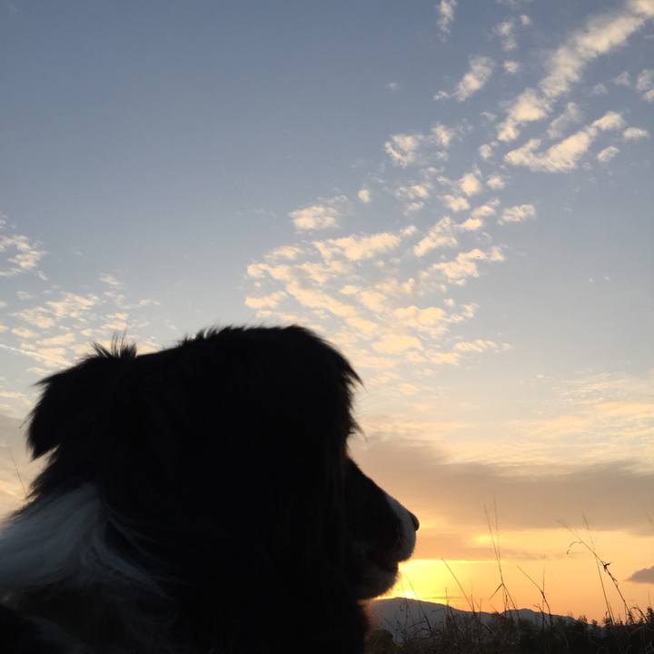 303a3ca5 32f2 4907 b438 9fba3667324f 1555149645774