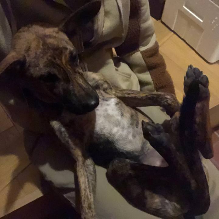 303a854f 7dd1 435e a127 48292772ed88 1574161186461