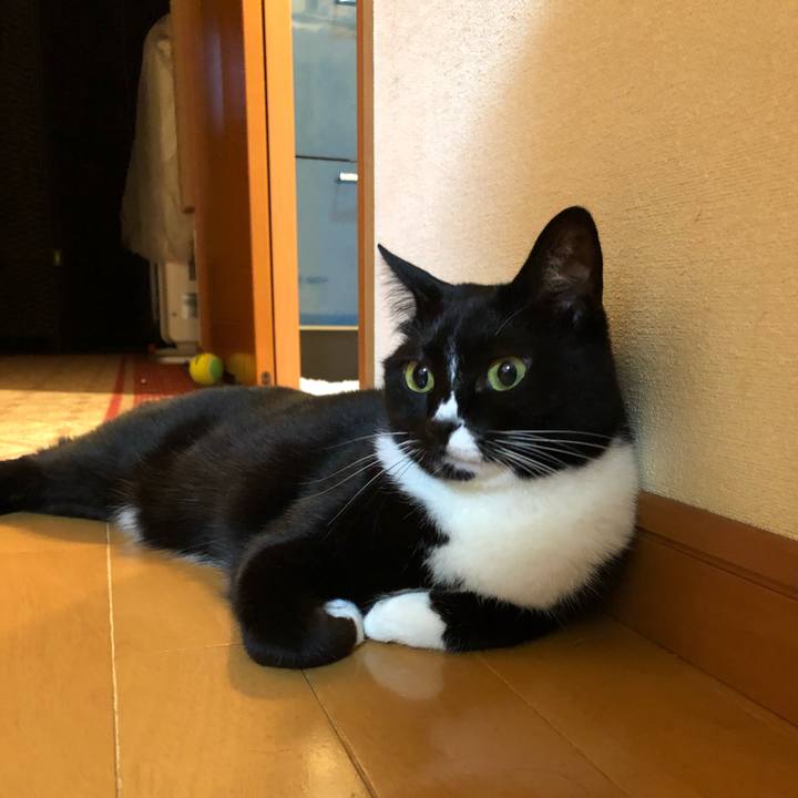 303ac972 4db9 48fc a2f9 fff6121c5f76 1560985758361