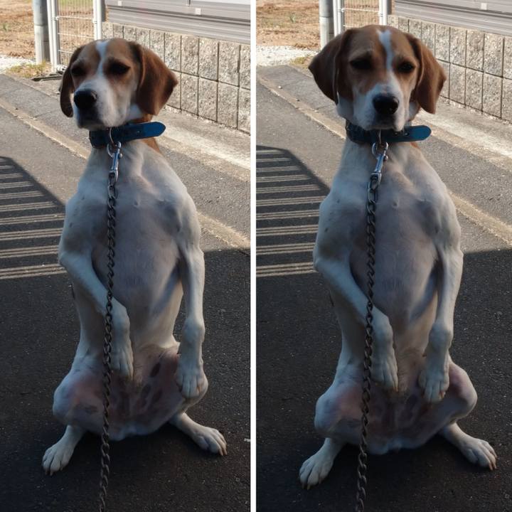 303adc67 adce 479a 8a61 0fb853172258 1603250953732