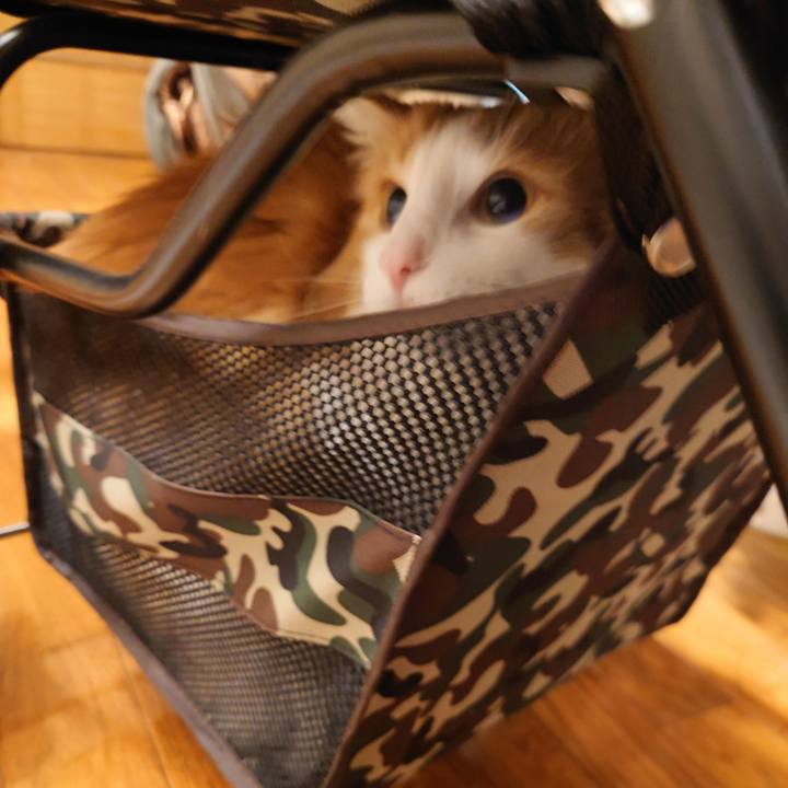 303af526 be48 4a23 9d5d 661726c34180 1620535723988