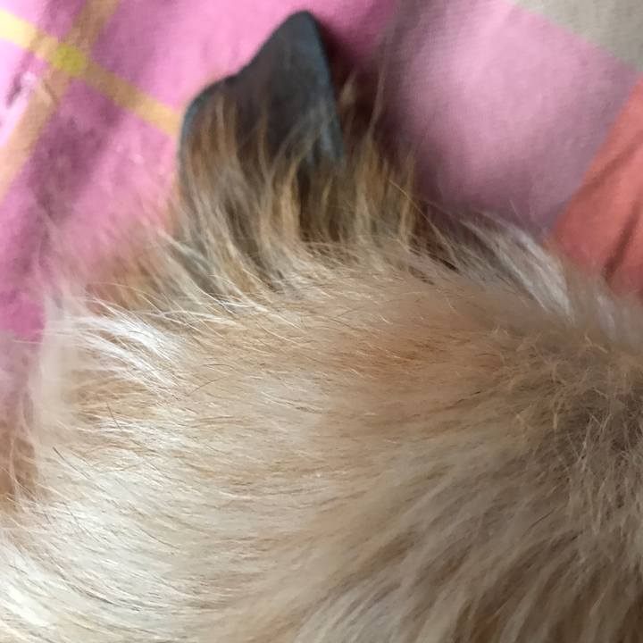 303b4d95 2265 46f2 8a70 3091877b29b5 1549965923137