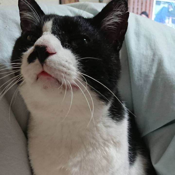 303b800a 2963 4b18 b420 3944a6dba563 1542252595651