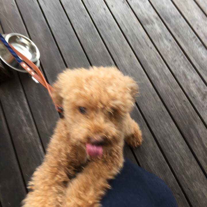 303bd706 cdd6 44f1 bcbd 13e5ba0d3f6d 1530664987948