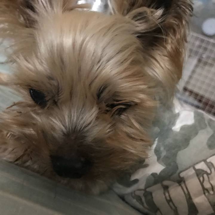 303bf7c0 a692 4a8d b3f9 43e099822fcb 1721474384680