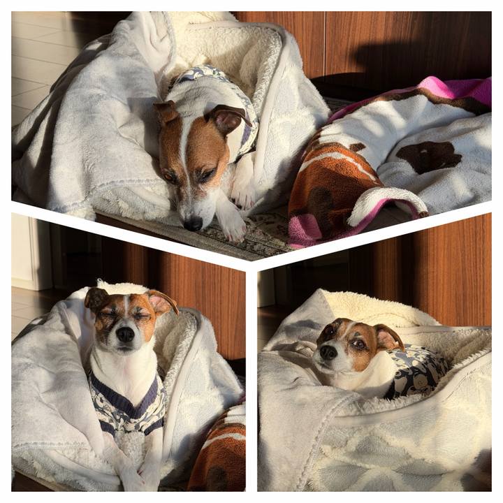 303c1f23 ff3f 4e91 adea 61e5868e159a 1767915377077