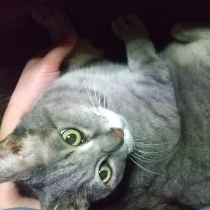 303c3381 68ef 4f94 9d99 c427f0a90adc 1638788749798