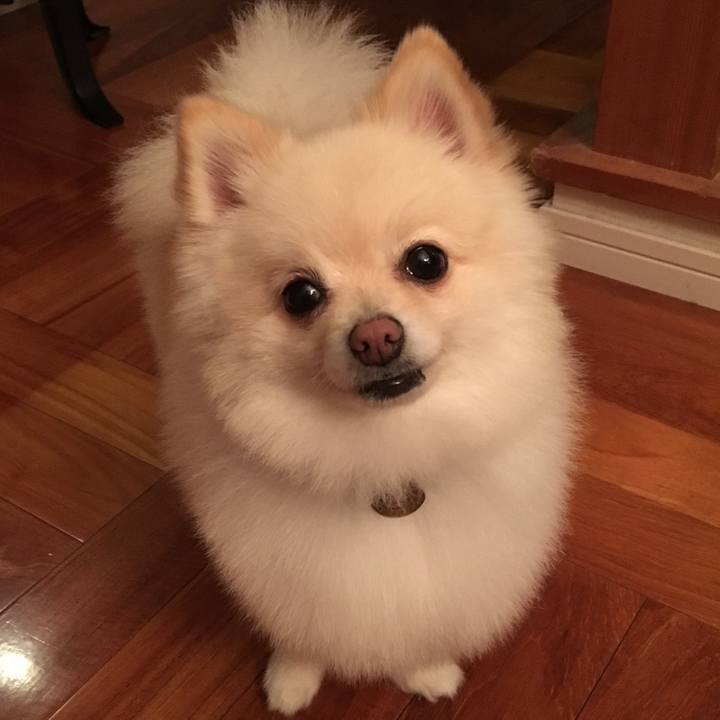 303c4b15 1edf 430a aabb 09d0a17399c9 1577106377559