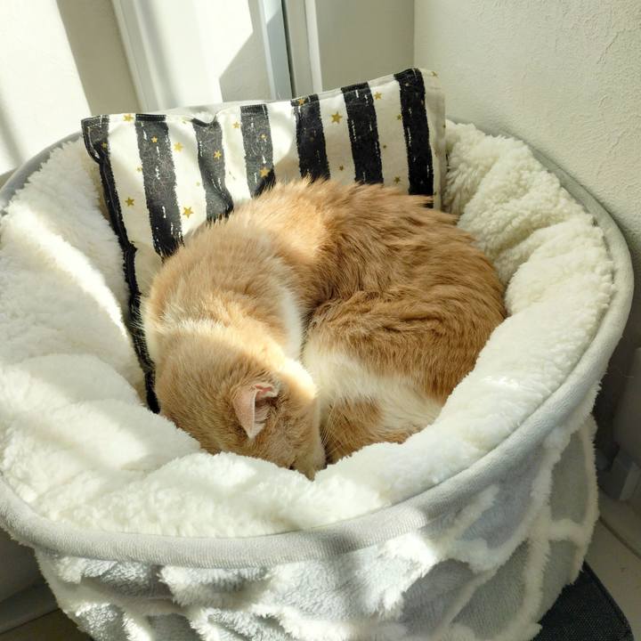 303c4e87 0cf9 417d b03d 8ef7ae86dc78 1697188996375