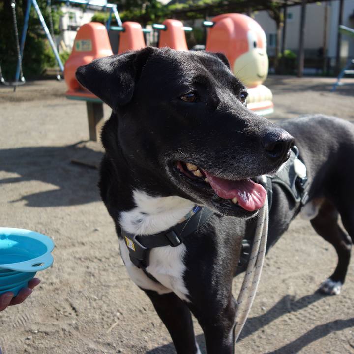 303cbc8e 4dfc 40e6 a57b 1c231bc98472 1651626856535