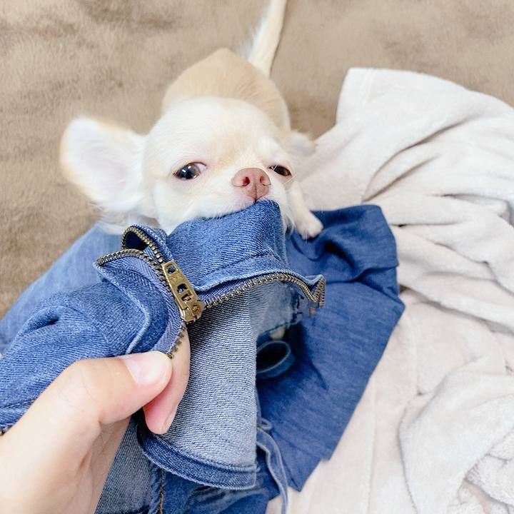 303cc0db fa6b 4714 86c1 9903d7ef2145 1593478092236