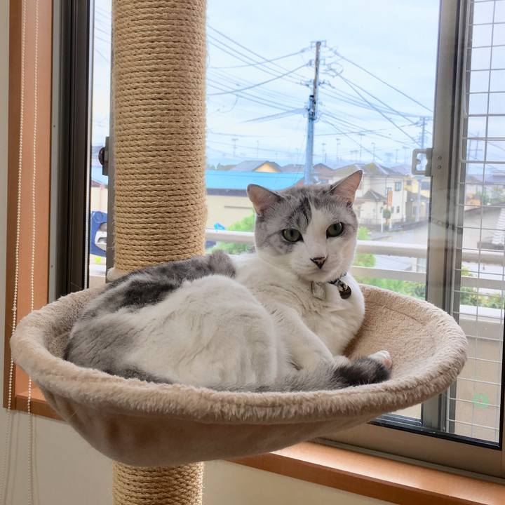 303ce64d 28bc 4048 9189 416135fdc8e5 1535870857740