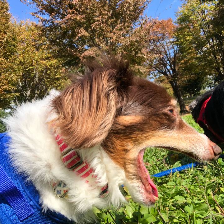 303d0ab4 b866 4f1c a778 8ad8faa867d4 1572913946090