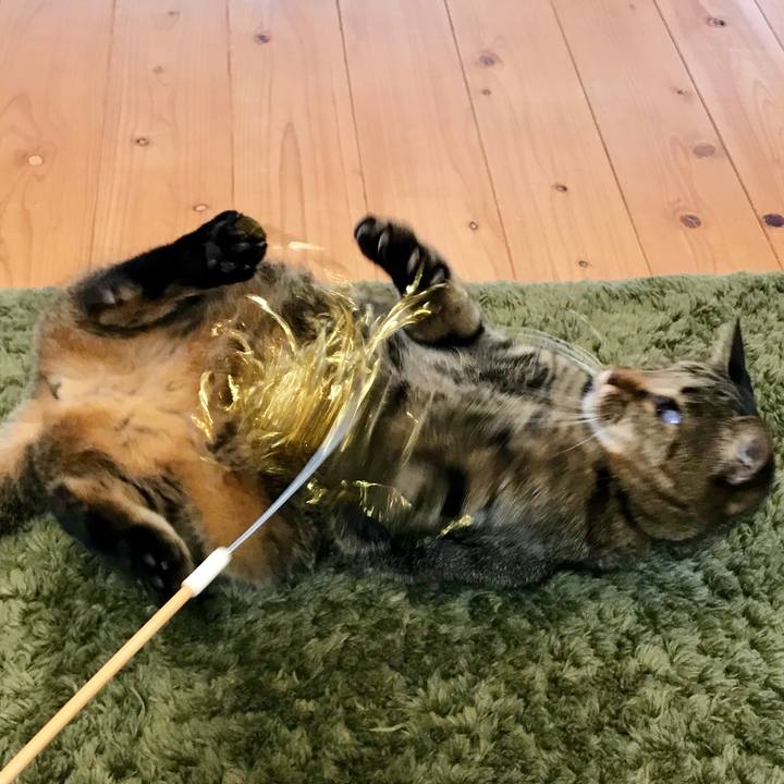 303d27bd 0573 4c43 add5 549a769eb599 1547106713724