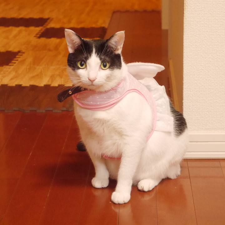 303d580f 0f70 4d81 8769 7a5e185ad207 1520910771622