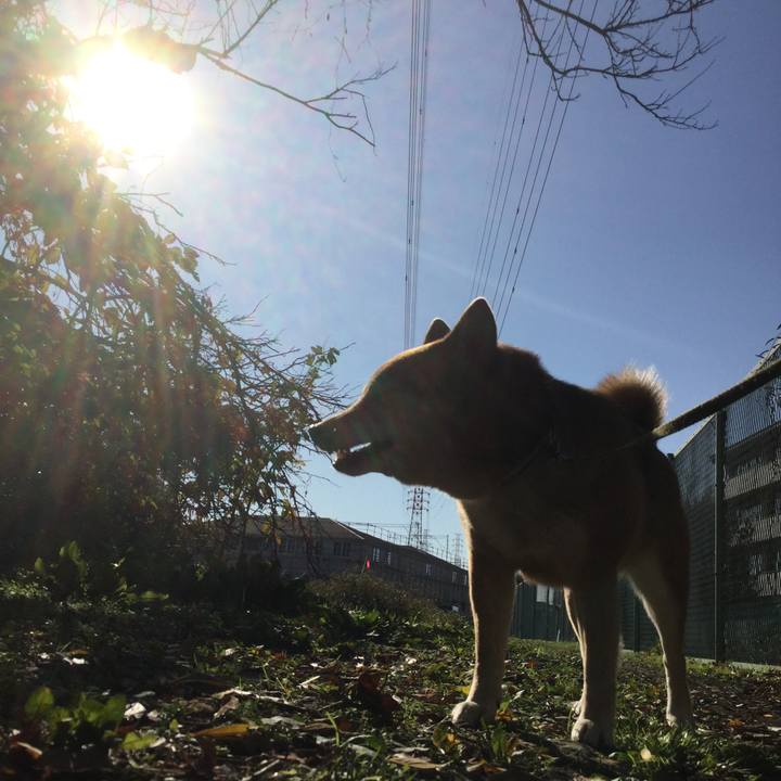 303d5841 5e22 471c 9de6 2df7b82c0552 1576125209691