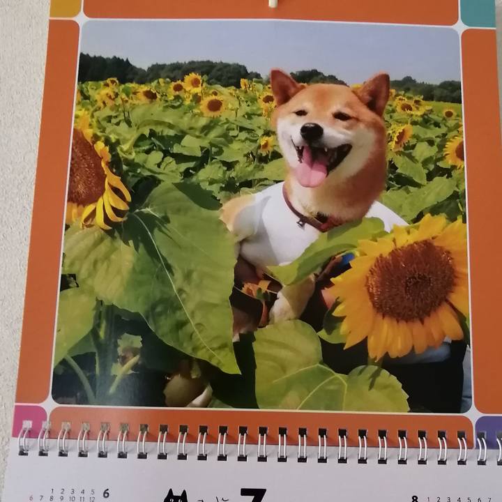 303d61fc 42cb 4517 a08b bbac81c5492a 1625120780765