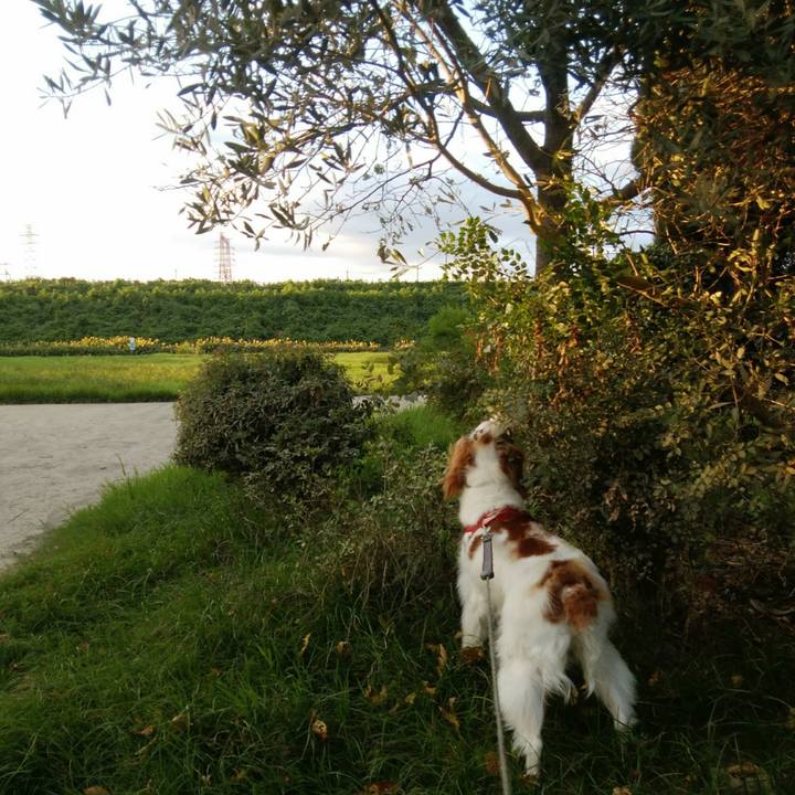 303d6737 b70d 4172 aaf3 44238956296f 1533731780748