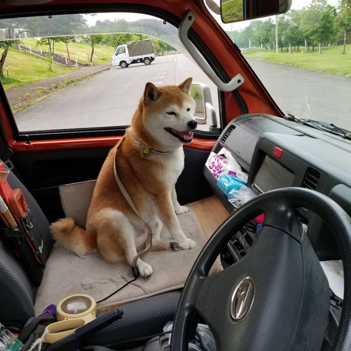 303dd6ae 4d35 447f 982d f42f763b731b 1653467610950