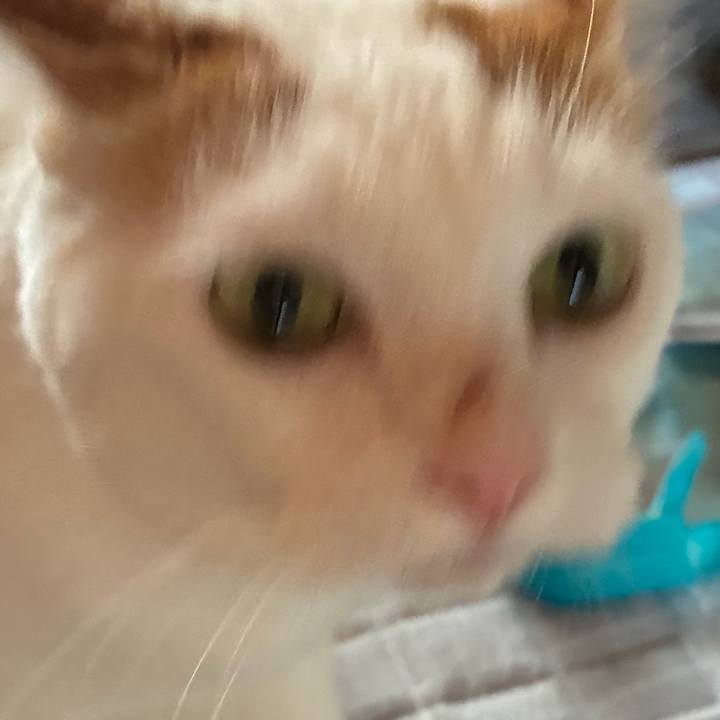 303e09e7 c27e 4d37 8669 56d82bee1439 1787355609460